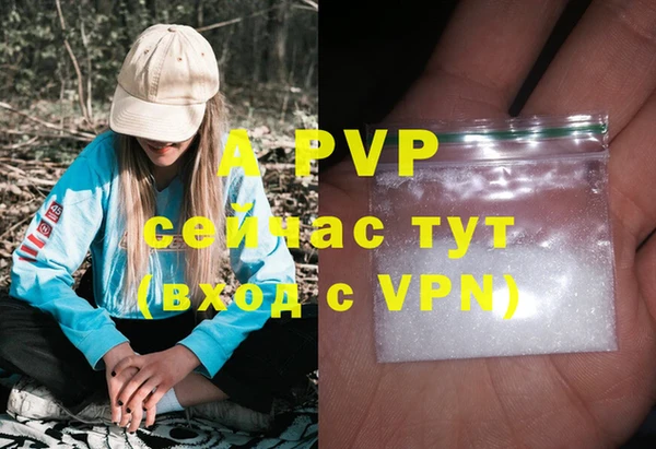 твердый Елизово
