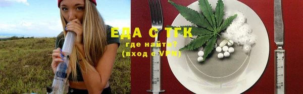 спиды Ельня