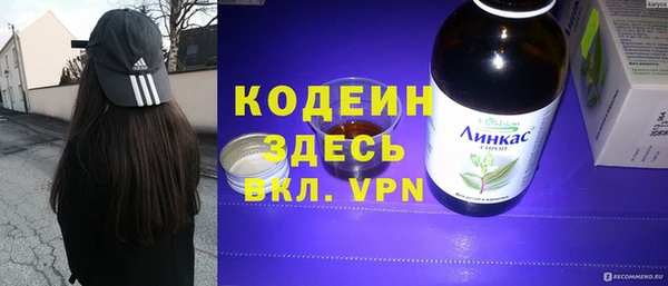 спиды Ельня