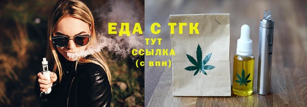 спиды Ельня