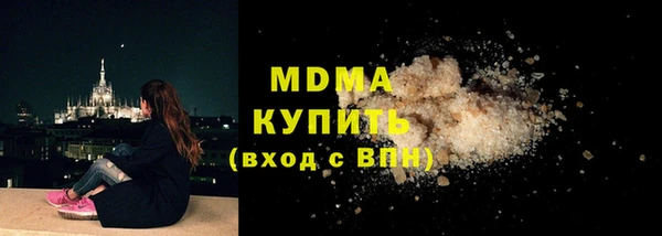 спиды Ельня