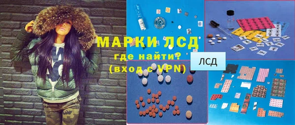 спиды Ельня