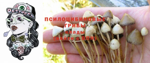 спиды Ельня
