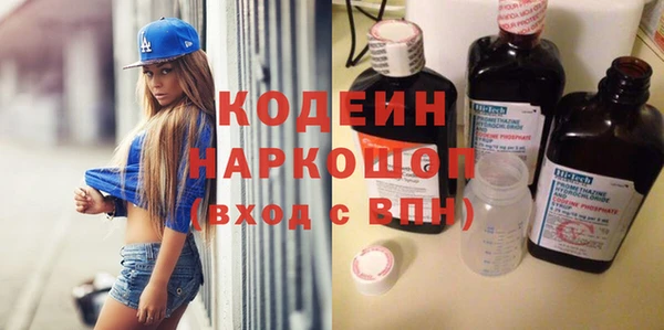спиды Ельня