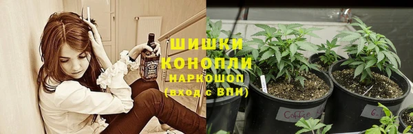 твердый Елизово