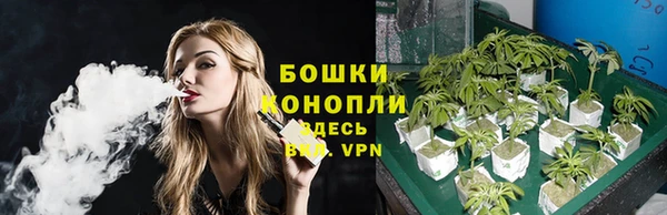 спиды Ельня